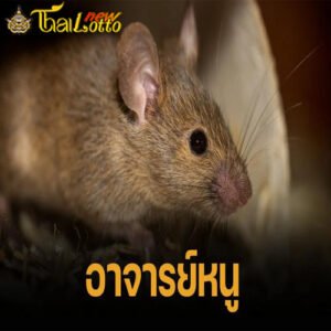 เลขเด็ด 16 8 67