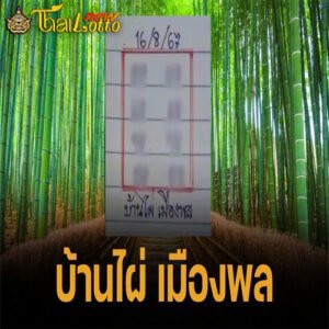 เลขเด็ด 16 8 67